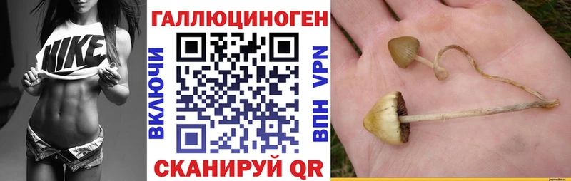 Галлюциногенные грибы GOLDEN TEACHER  Шумиха 